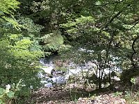 IMG 6597