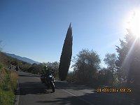IMG 0517