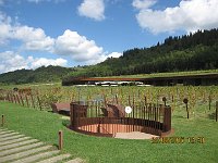 IMG 0793