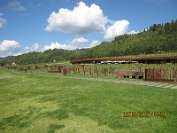 IMG 0820