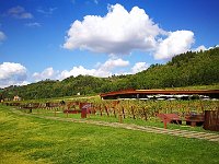 IMG 20170922 143942