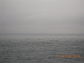 DSCN1148