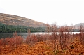 SCO_3116
