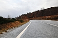 SCO_3118