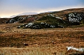 SCO_3224
