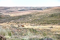 SCO_3231