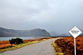 SCO_3245