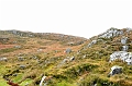 SCO_3297