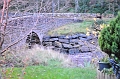 SCO_3347