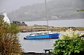 SCO_3405