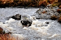 SCO_3415