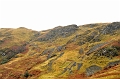 SCO_3447