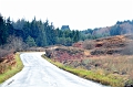 SCO_3470