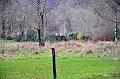 SCO_3494