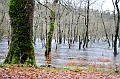 SCO_3496