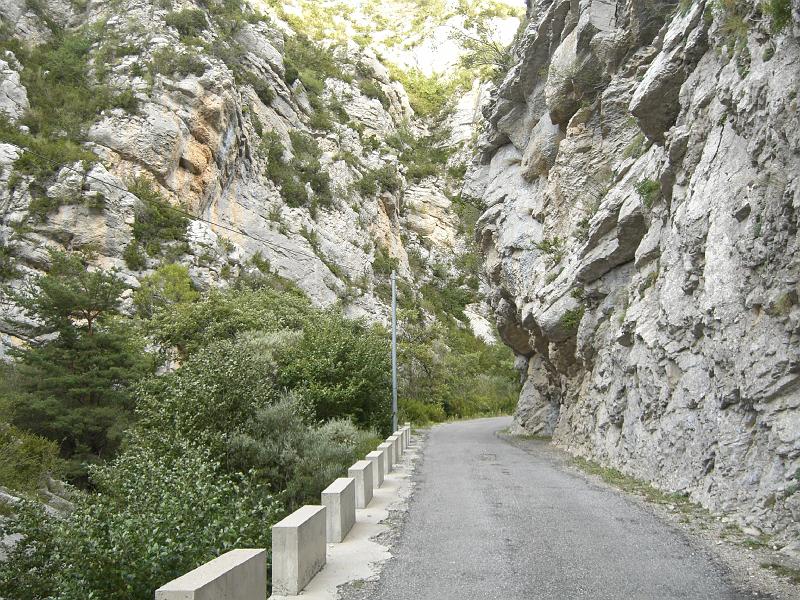 CIMG2004.JPG