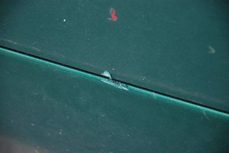 DSC_0136.JPG